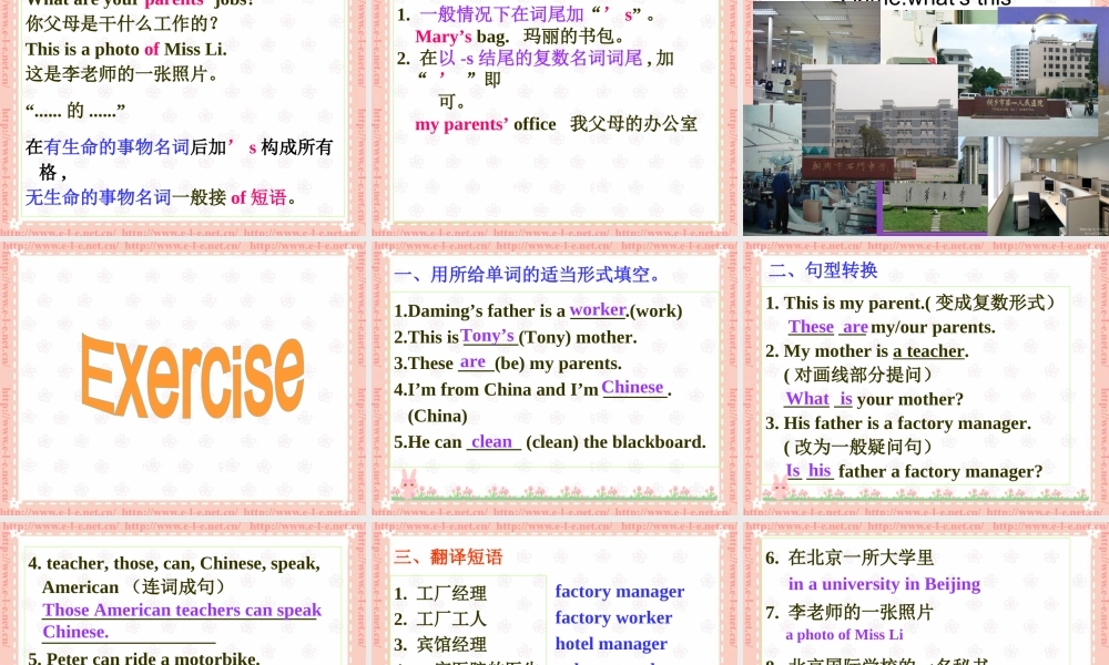 七年级英语上 M 2Unit 2These are my parents课件(共23张)七上外研版新标准 课件