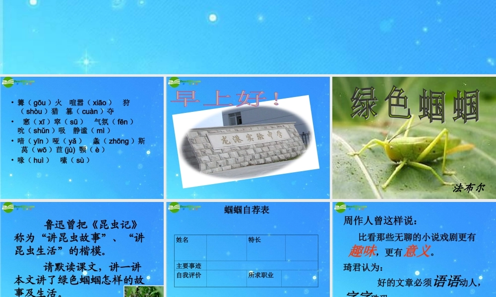 七年级语文上册 第四单元(绿色蝈蝈)课件 人教新课标版 课件