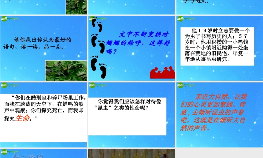 七年级语文上册 第四单元(绿色蝈蝈)课件 人教新课标版 课件
