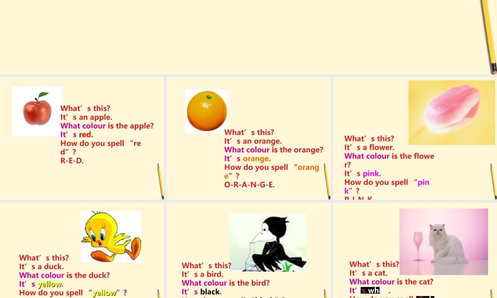 七年级英语上册 Starter Module 3 Unit 1 What colour is the apple课件1 外研版 课件