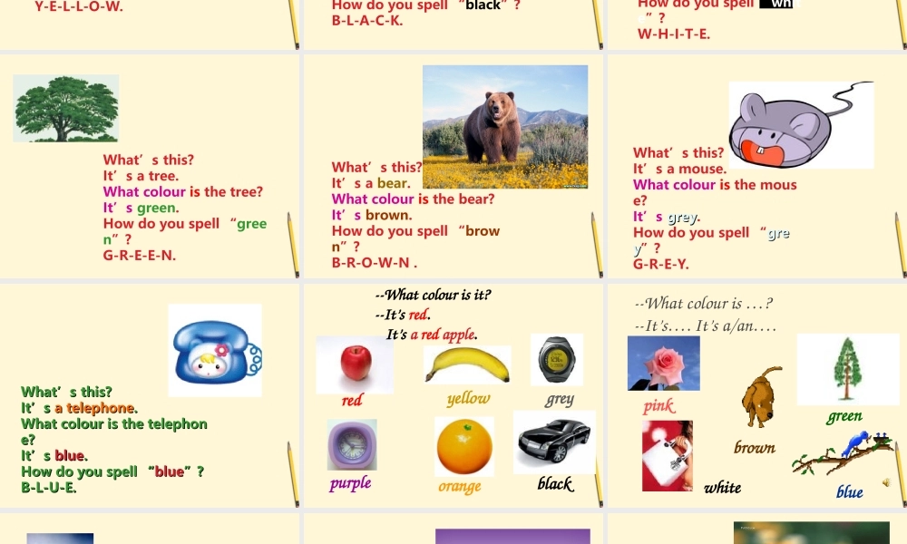 七年级英语上册 Starter Module 3 Unit 1 What colour is the apple课件1 外研版 课件