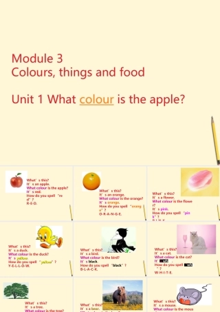 七年级英语上册 Starter Module 3 Unit 1 What colour is the apple课件1 外研版 课件