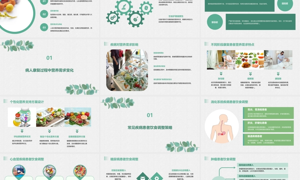营养与饮食护理在病人康复中的作用课件