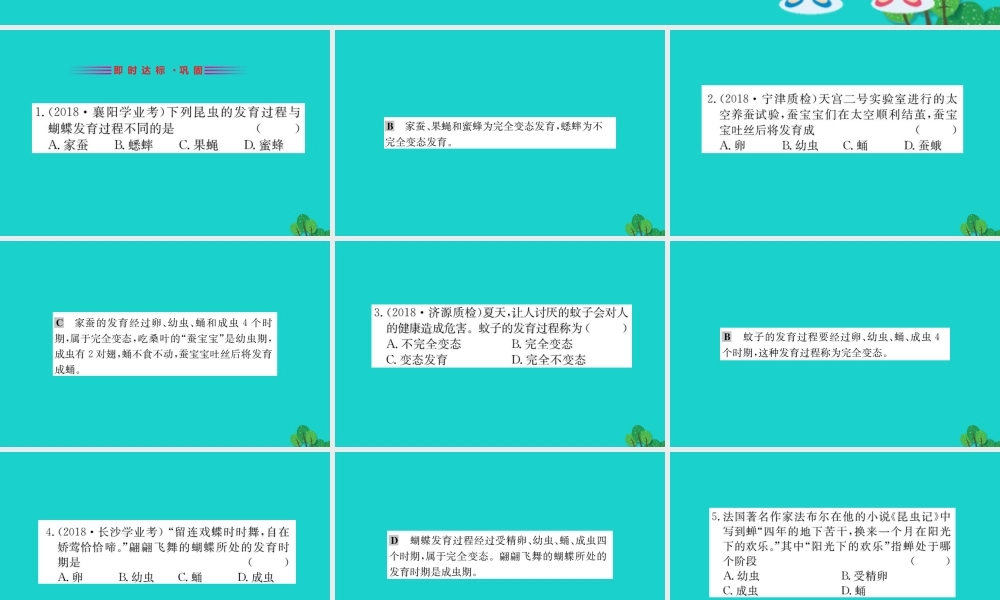 八年级生物下册 7.1.2 昆虫的生殖和发育习题课件(新版)新人教版 课件