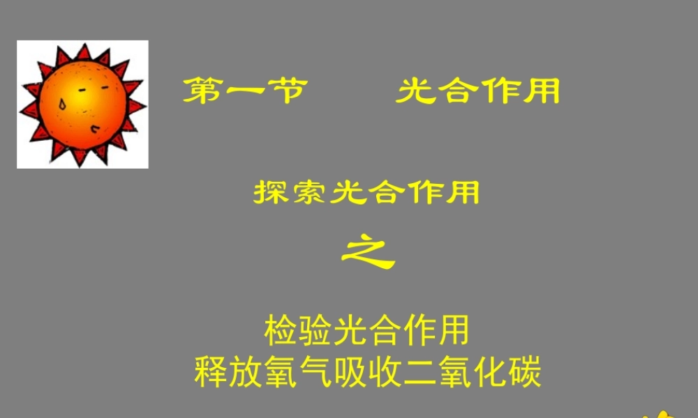 七年级生物光合作用吸收二氧化碳释放氧气课件