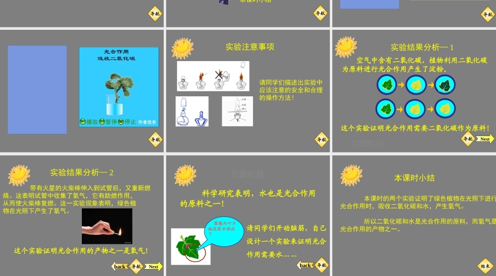 七年级生物光合作用吸收二氧化碳释放氧气课件