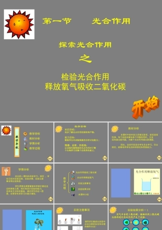 七年级生物光合作用吸收二氧化碳释放氧气课件