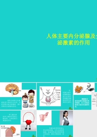 八年级生物上册 第6单元 第16章 第3节 人体的激素调节 人体主要内分泌腺及分泌的激素的作用课件 (新版)苏科版 课件