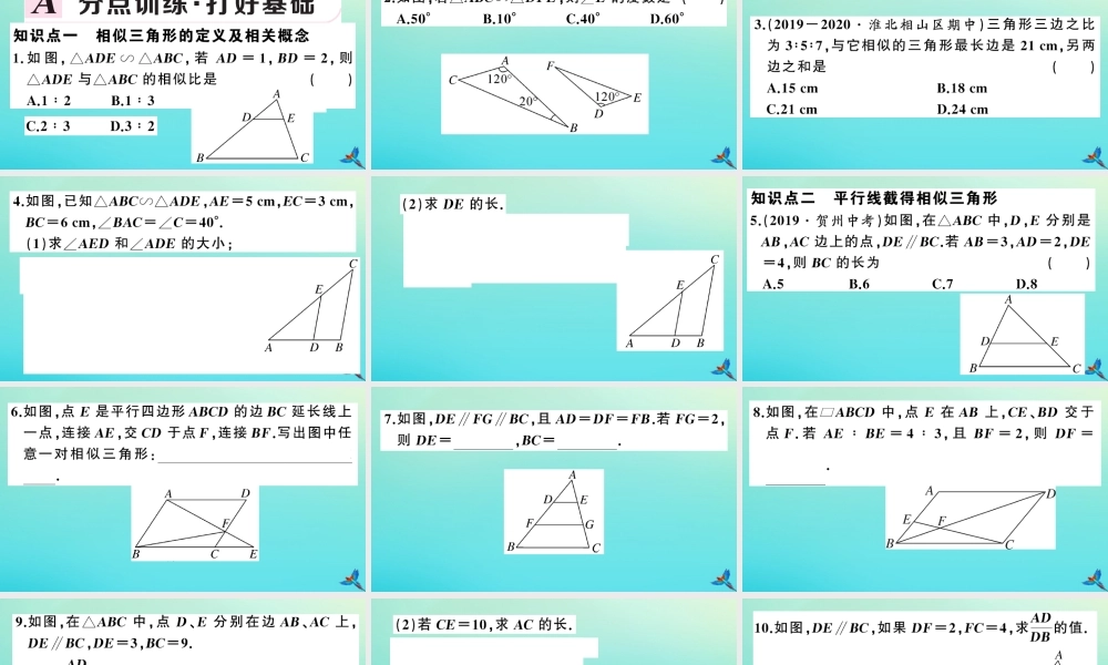 九年级数学上册 第22章 相似形 222 相似三角形的判定 第1课时 平行线与相似三角形作业课件 (新版)沪科版 课件
