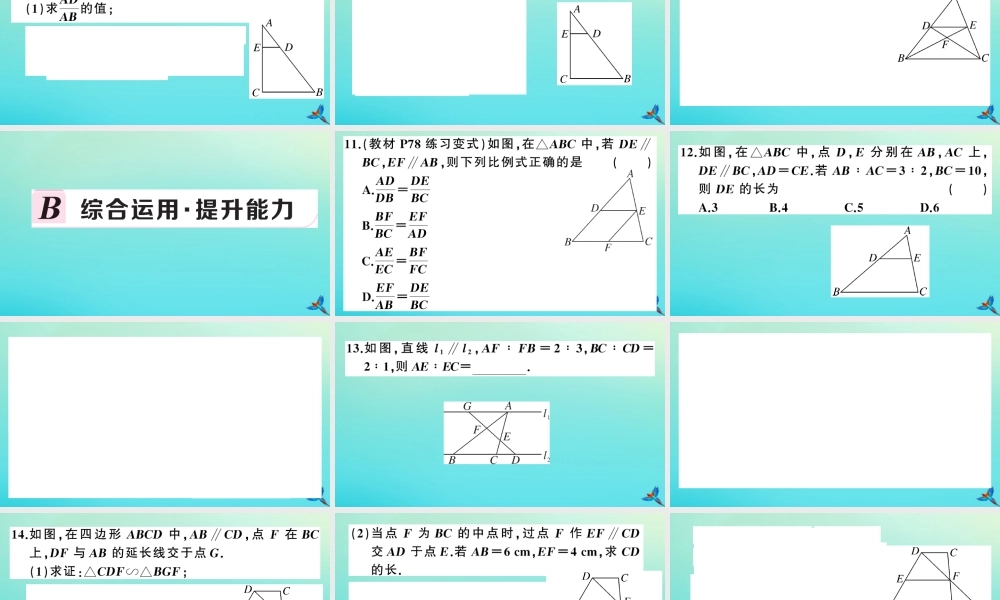 九年级数学上册 第22章 相似形 222 相似三角形的判定 第1课时 平行线与相似三角形作业课件 (新版)沪科版 课件