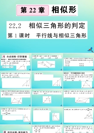 九年级数学上册 第22章 相似形 222 相似三角形的判定 第1课时 平行线与相似三角形作业课件 (新版)沪科版 课件
