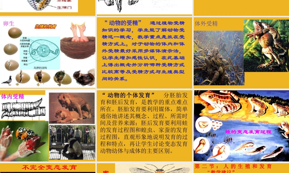 八年级科学下册 第八章 动物和人类的生殖和发育课件 华师大版 课件