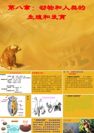 八年级科学下册 第八章 动物和人类的生殖和发育课件 华师大版 课件