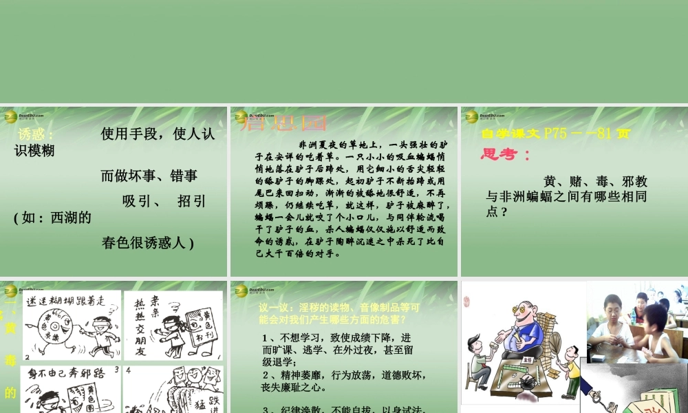 八年级政治上册 第四单元第八课第一框危险的诱惑课件 新人教版 课件