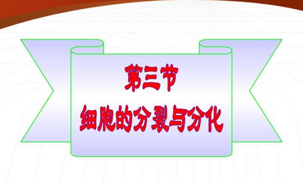 七年级生物上册 第一单元第二章第三节细胞的分裂与分化课件 济南版 课件