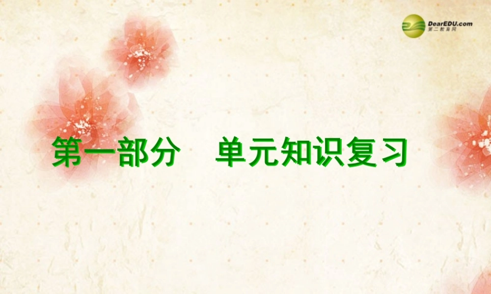广东省中考数学专题总复习 第一章 数与式 第1讲 实数课件