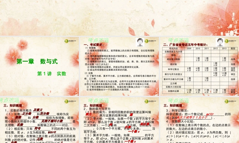 广东省中考数学专题总复习 第一章 数与式 第1讲 实数课件