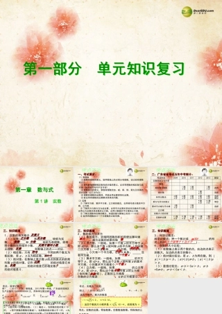 广东省中考数学专题总复习 第一章 数与式 第1讲 实数课件