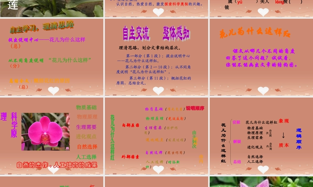 八年级语文下册 第15课(花儿为什么这样红)课件 (新版)苏教版 课件