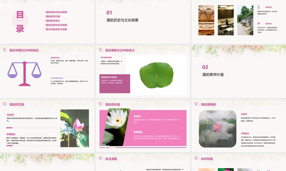 莲文化的魅力董振华田鹏飞课件