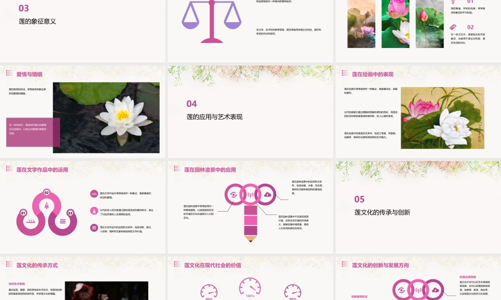莲文化的魅力董振华田鹏飞课件