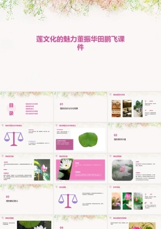 莲文化的魅力董振华田鹏飞课件
