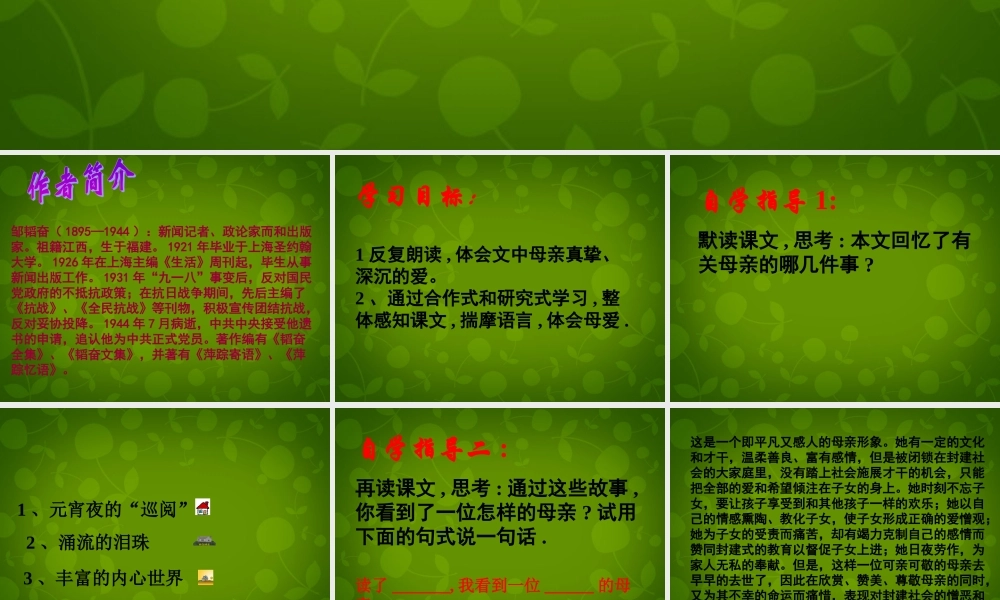 八年级语文上册 14 我的母亲课件1 苏教版 课件