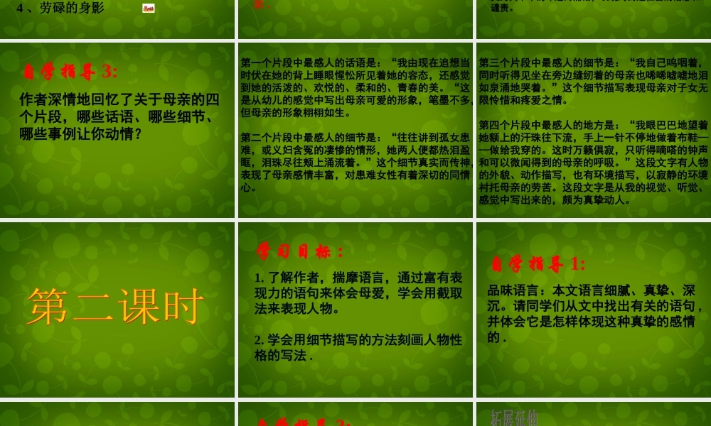 八年级语文上册 14 我的母亲课件1 苏教版 课件