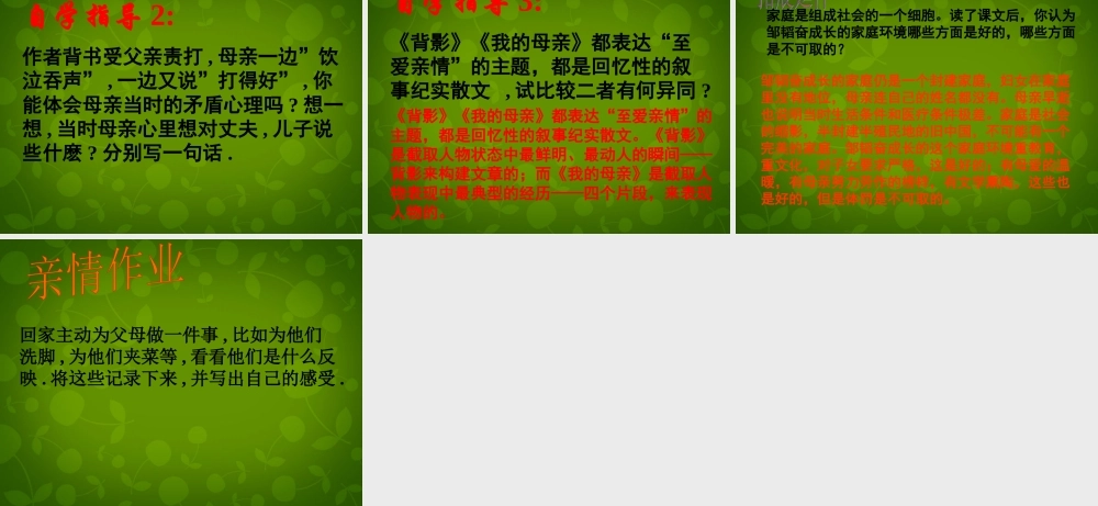 八年级语文上册 14 我的母亲课件1 苏教版 课件