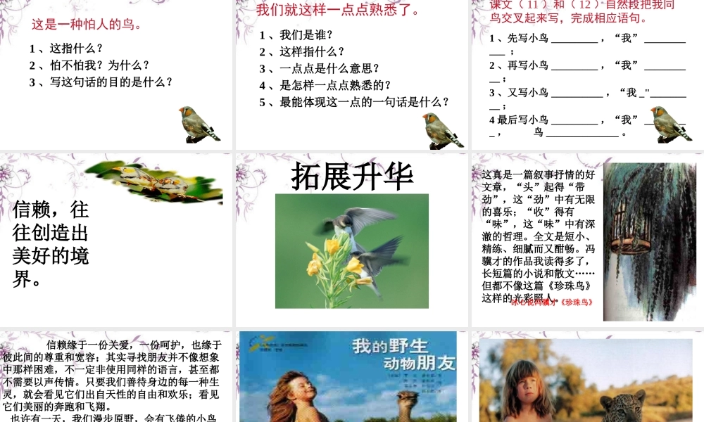 九年级语文 珍珠鸟课件 新人教版 课件