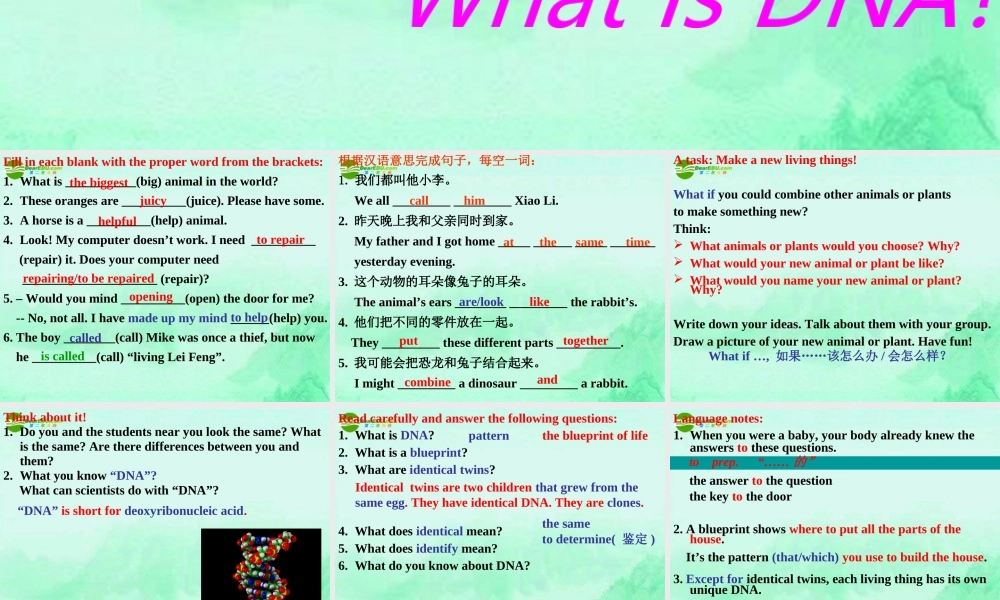九年级英语下册 Unit2 DNA Lesson10课件 冀教版 课件
