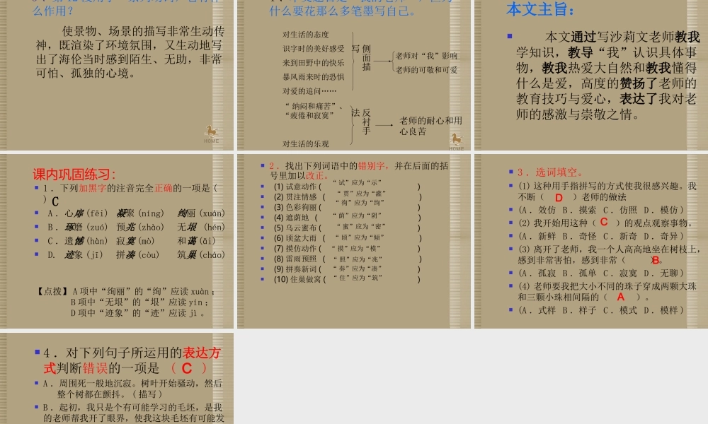 七年级语文上册(我的老师)课件 语文版 课件