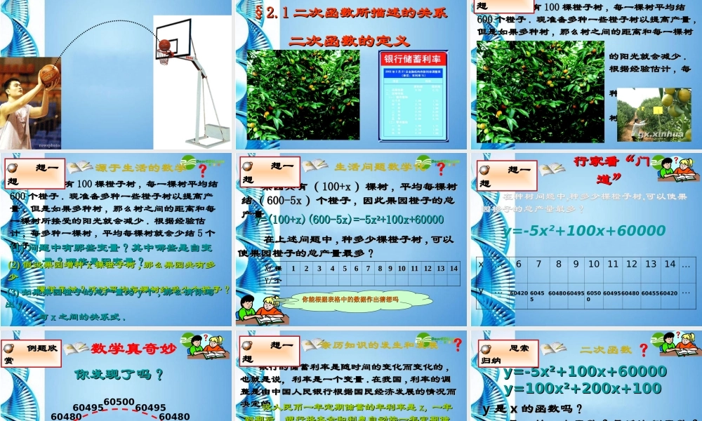 九年级数学下册 21二次函数所描述的关系课件1 北师大版 课件