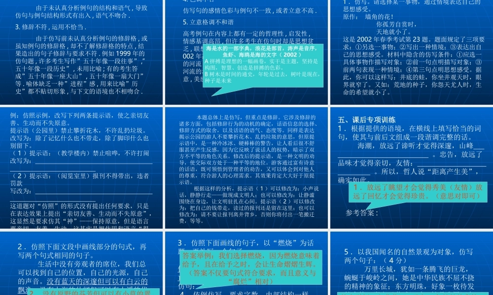 四川地区语文学科高考复习资料课件