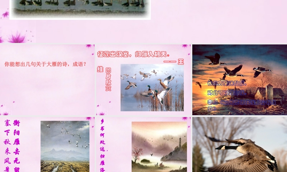 八年级语文下册 3.14(大雁归来)课件 (新版)新人教版 课件