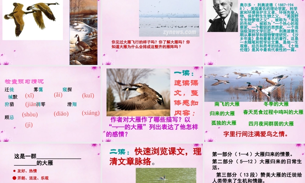 八年级语文下册 3.14(大雁归来)课件 (新版)新人教版 课件