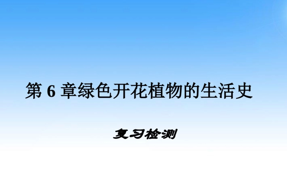 七年级生物上册 第六章绿色开花植物的生活史复习课件 北师大版 课件