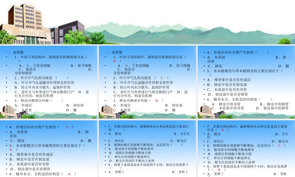 七年级生物上册 第六章绿色开花植物的生活史复习课件 北师大版 课件