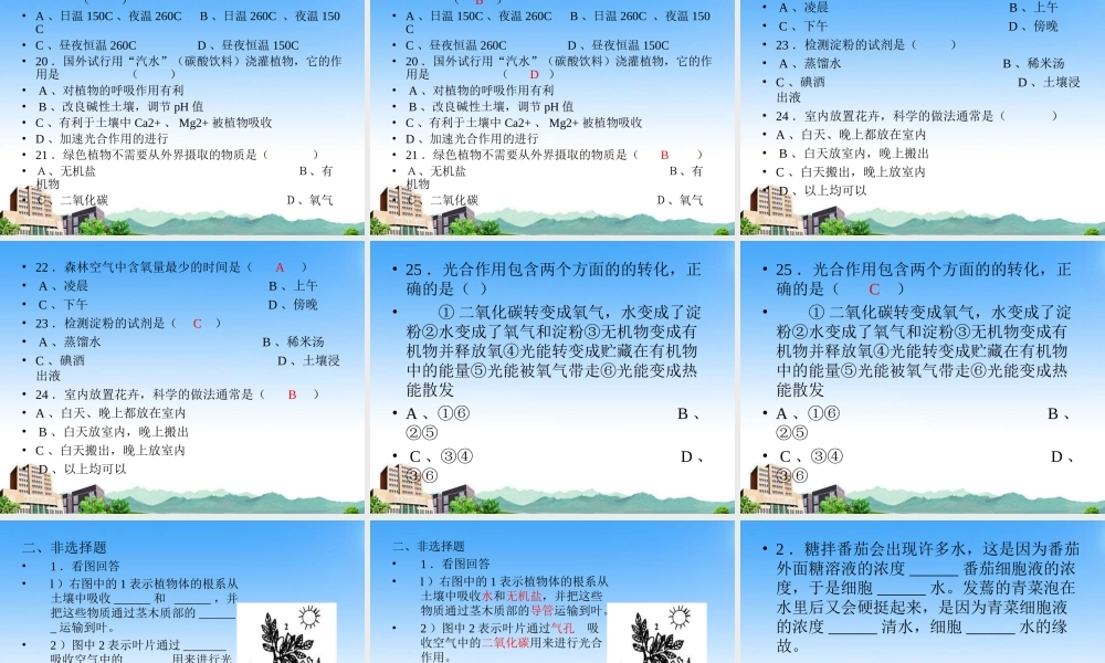 七年级生物上册 第六章绿色开花植物的生活史复习课件 北师大版 课件