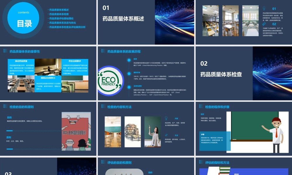 药品质量体系检查及评估基础理论版海南课件