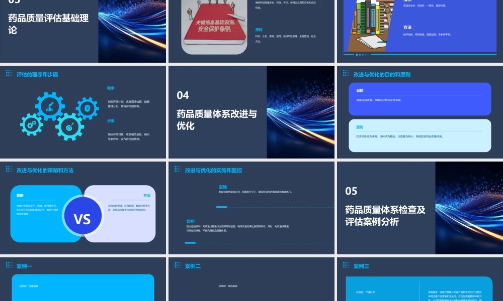 药品质量体系检查及评估基础理论版海南课件