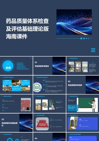 药品质量体系检查及评估基础理论版海南课件