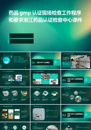 药品GMP认证现场检查工作程序和要求浙江药品认证检查中心课件