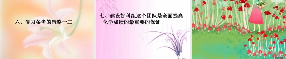 广东省中考化学备考研讨会 对中考复习备考的再认识 新课标 试题