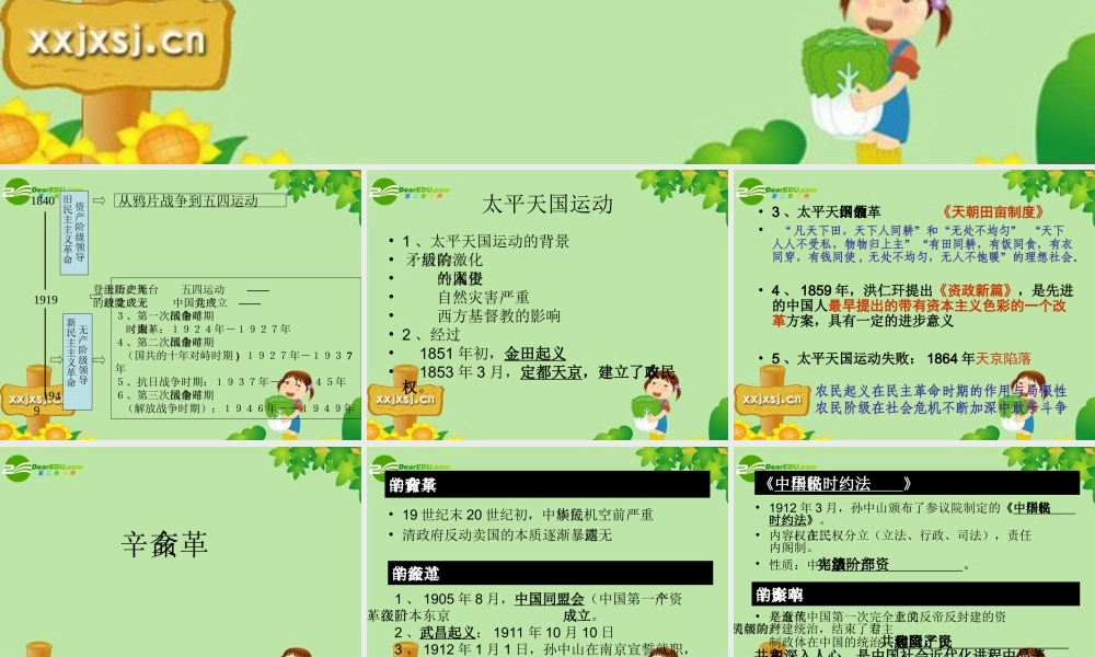 中考历史专题复习 近代民主革命  课件