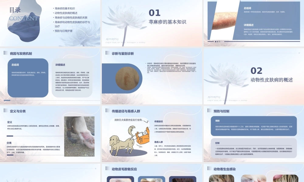 荨麻疹和动物性皮肤病课件