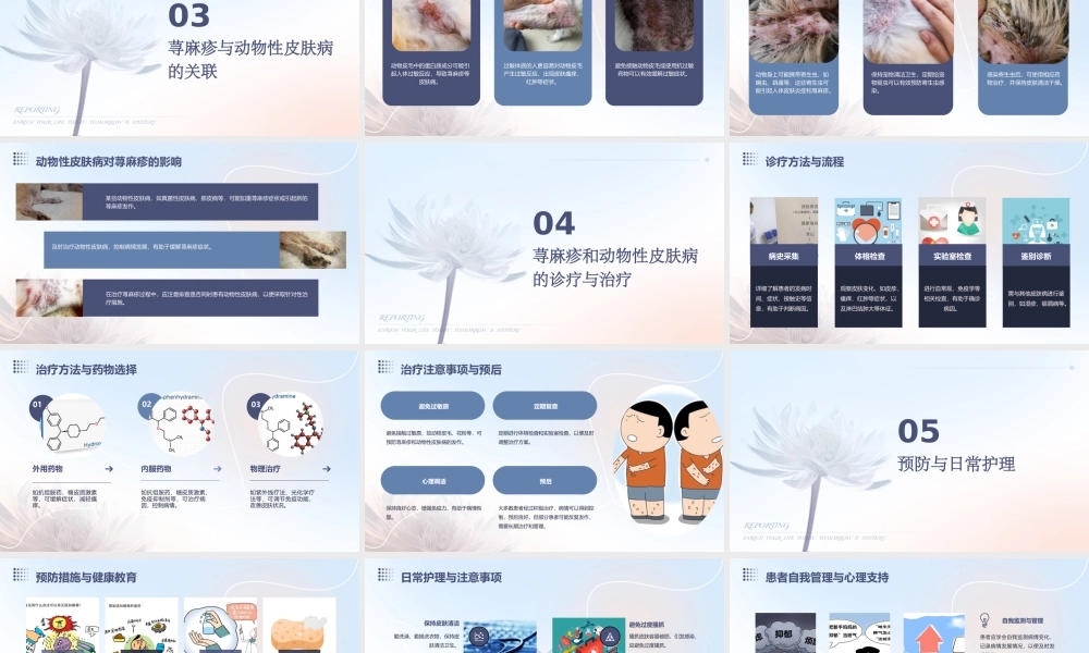 荨麻疹和动物性皮肤病课件