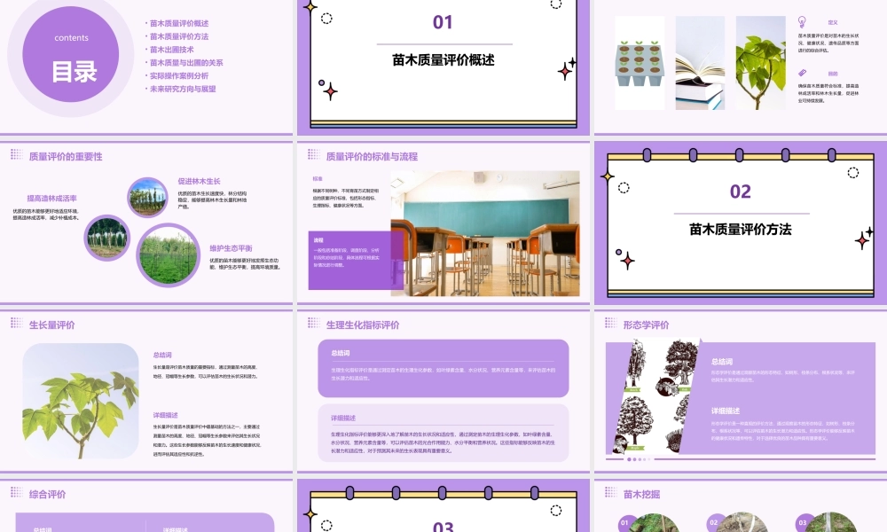 苗木质量评价与出圃课件
