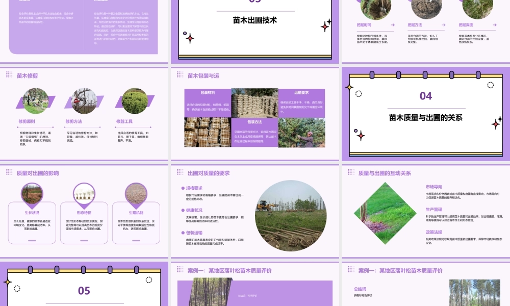 苗木质量评价与出圃课件