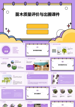 苗木质量评价与出圃课件